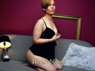 Harleybloom