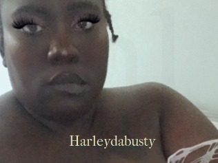 Harleydabusty