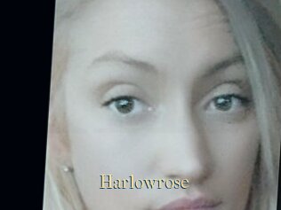 Harlowrose