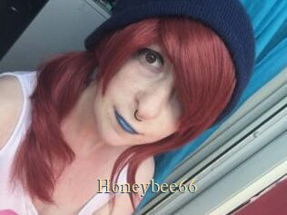 Honeybee66