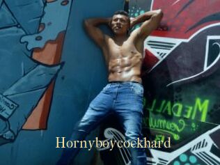 Hornyboycockhard