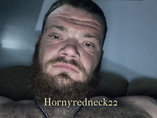 Hornyredneck22