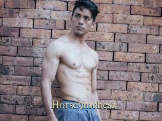 Horse9inchesz