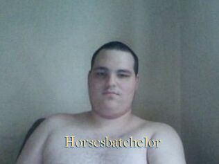 Horsesbatchelor