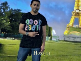 Hoss301
