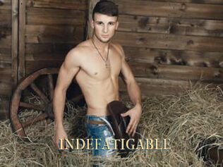 INDEFATIGABLE