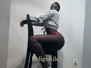 Indigo_Riley