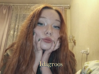 Idagroos