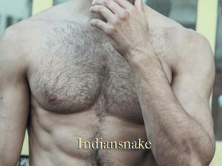 Indiansnake