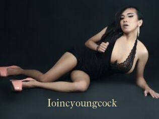 Ioincyoungcock