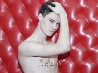 JoeyB0Y