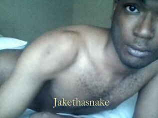 Jake_tha_snake