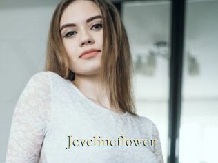 Jevelineflower