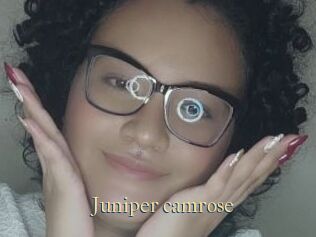 Juniper_camrose