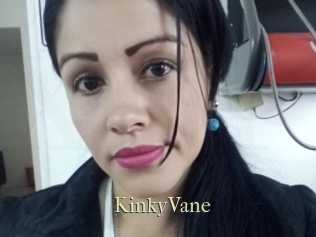 KinkyVane