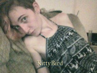KittyBird