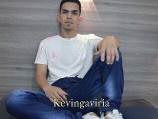 Kevingaviria