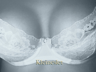 Kleineslet