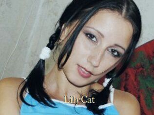 Lily_Cat_