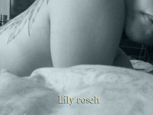 Lily_roseh
