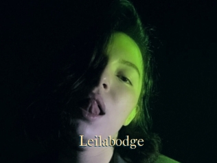 Leilabodge