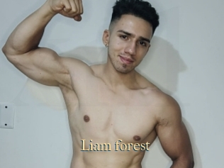 Liam_forest