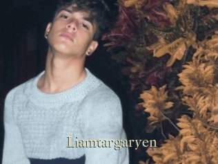 Liamtargaryen