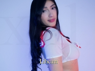 Libcam