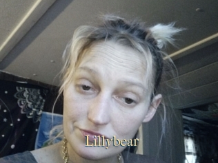 Lillybear