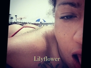 Lilyflower