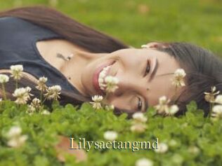 Lilysaetangmd