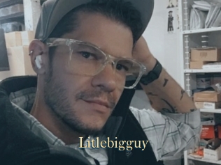 Litlebigguy
