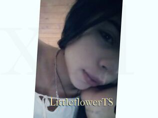 LittleflowerTS