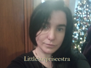 Littlesurpriseestra