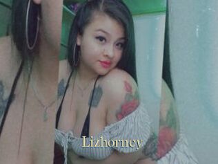 Lizhorney