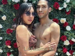 Lizyandmarks