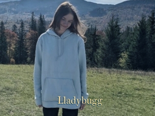 Lladybugg