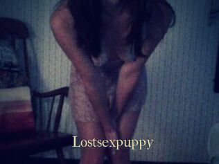 Lostsexpuppy