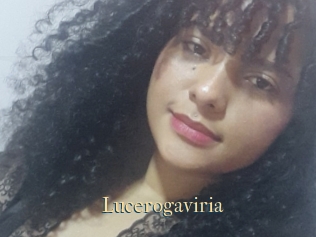 Lucerogaviria