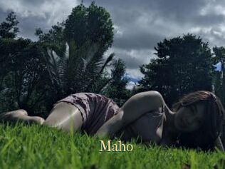Maho
