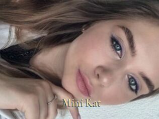 Mini_Kat