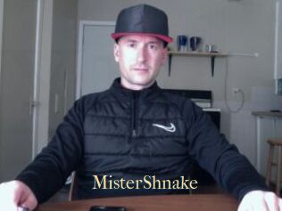 MisterShnake