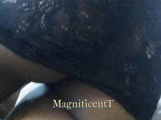 MagnificentT