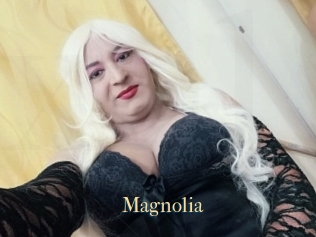 Magnolia
