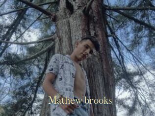 Mathew_brooks