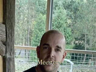 Meesterv