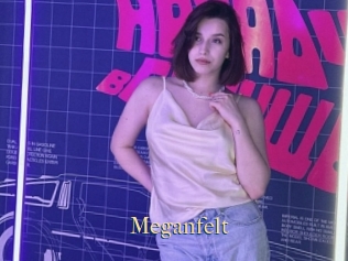 Meganfelt