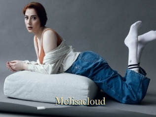 Melisacloud