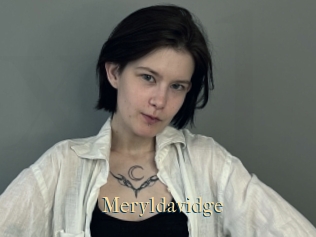 Meryldavidge