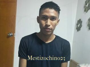 Mestizochino23